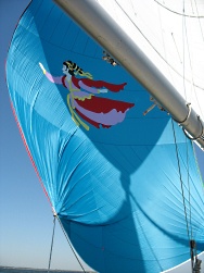 custom sail graphics by Sail Care