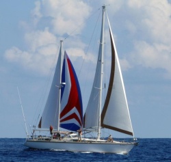 custom sail graphics by Sail Care